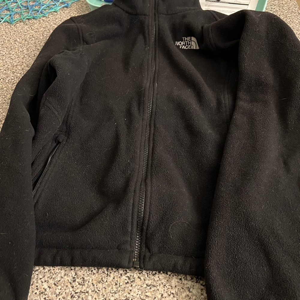 Large north face